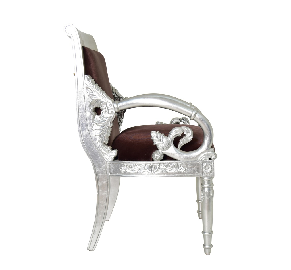 Leisure Chair