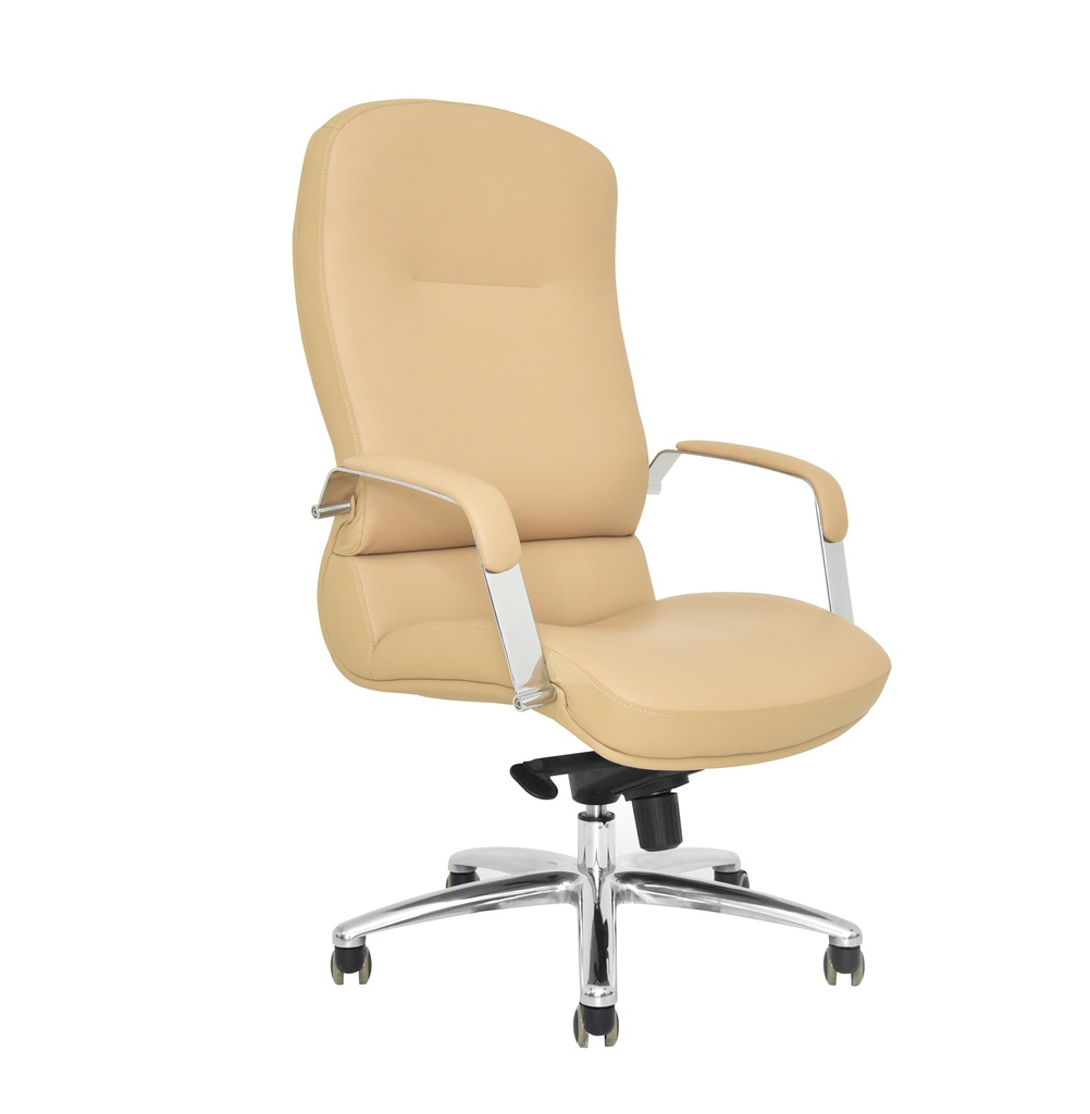 Executive Office Chair