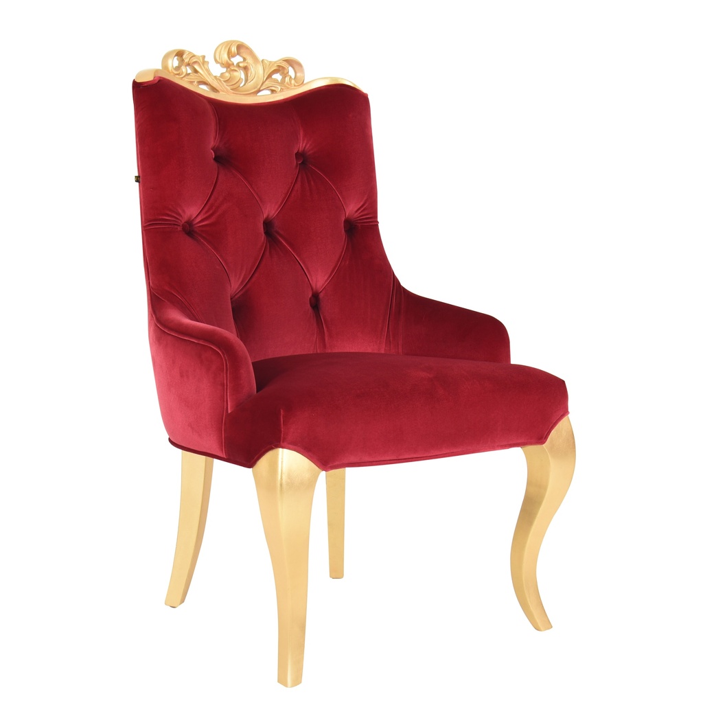 Leisure Chair