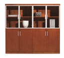 Business Exec Multi Cabinet