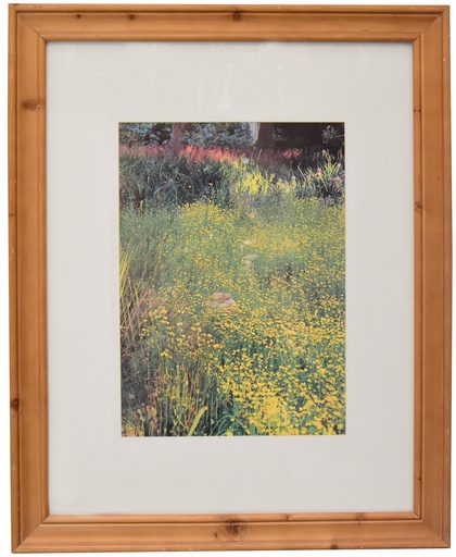 [1141917] Showroom Decor