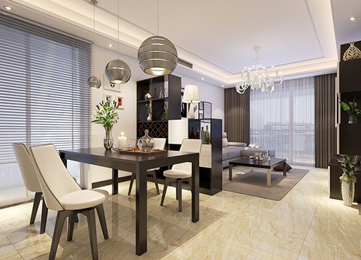 Modern minimalist Dining Room