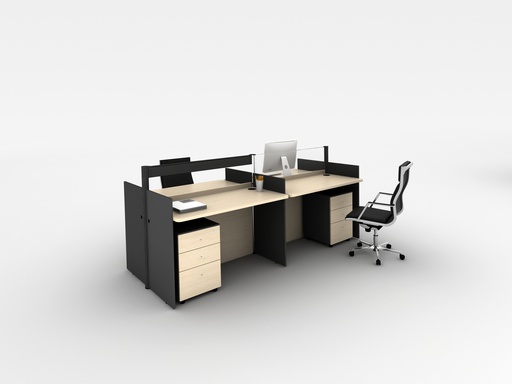 [1369311] Workstation