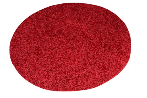 [1029789] Rug
