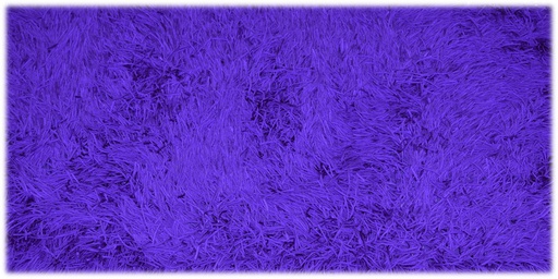 [1029482] Rug